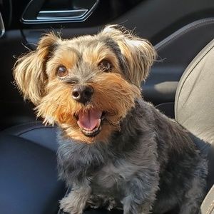 Meet your Posher, Bobby